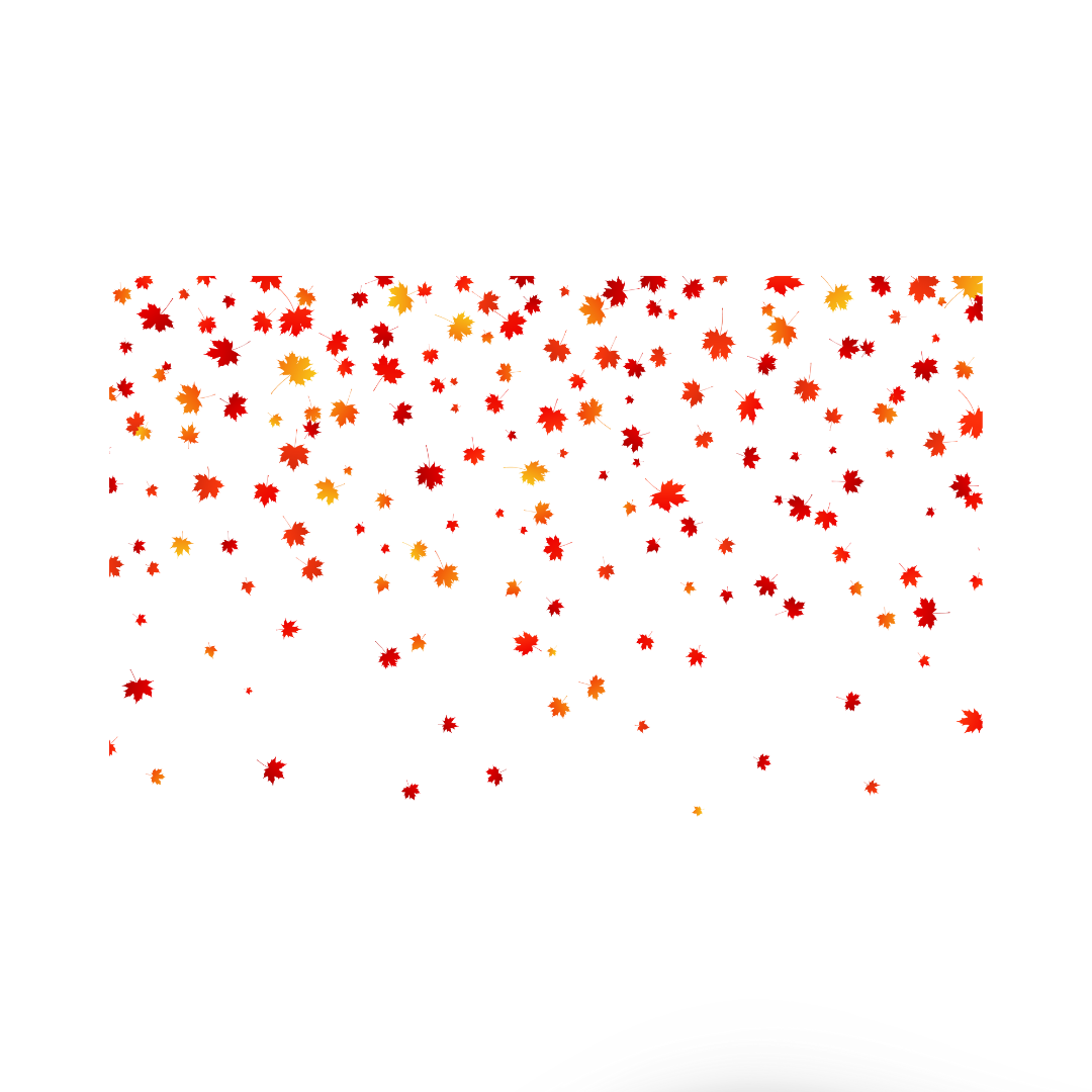 Blooms by Kim Flower Delivery Belmont, NC